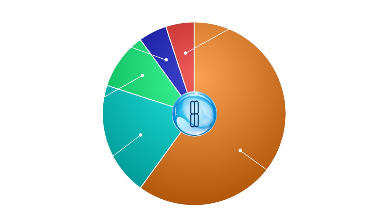 distribution3
